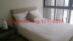 Fifteen Robin (D10), Condominium #88390702